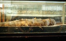 Mummy wrapped in bandages and lying on the base of a coffin, Ancient Egyptian