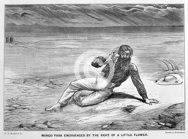 Mungo Park encouraged by the sight of a little flower, (19th century). Artist: JM Corner