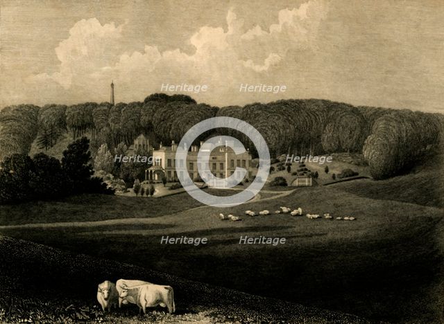 'Muntham', 1835. Creator: Charles J Smith.