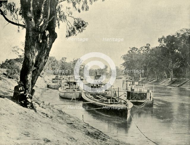 'Murray Barges and Steamboats at Echuca', 1901. Creator: Unknown.