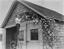Murray, between c1915 and c1920. Creator: Bain News Service