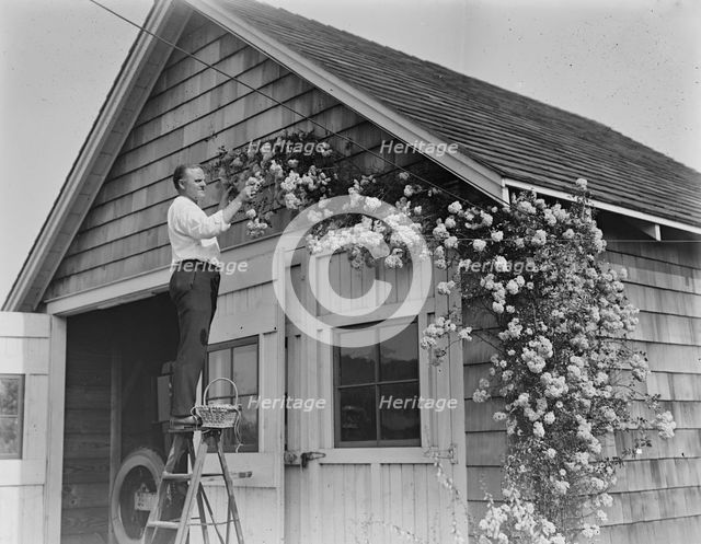 Murray, between c1915 and c1920. Creator: Bain News Service.