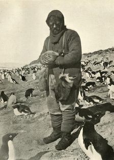Murray Holding Young Penguins c1908, (1909)