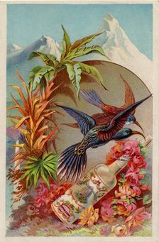 Murray & Lanman’s Florida Water, 19th century