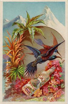 Murray & Lanman’s Florida Water, 19th century