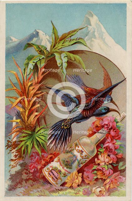 Murray & Lanman’s Florida Water, 19th century. Artist: Unknown