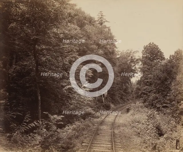 Musconetcong Glen, c. 1895. Creator: William H Rau.