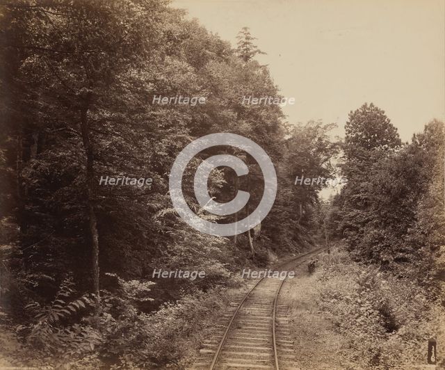 Musconetcong Glen, c. 1895. Creator: William H Rau.