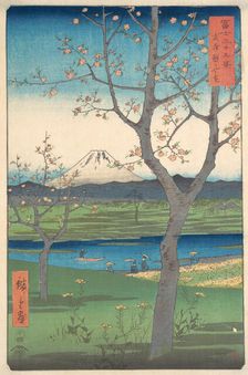 Musashi, Koshigaya Zai, 4th month horse year 1858., 4th month horse year 1858. Creator: Ando Hiroshige