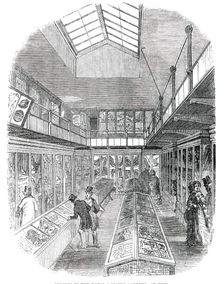 Museum in the Royal Botanic Gardens, at Kew, 1850. Creator: Unknown