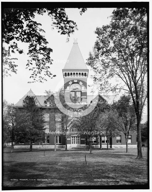 Museum, U. of M., Ann Arbor, Michigan, between 1890 and 1901. Creator: Unknown.