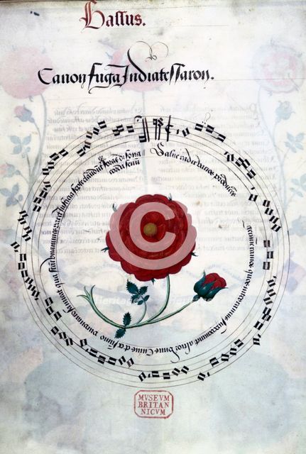 Musical canon with Tudor rose, c1509-c1547. Creator: Unknown.