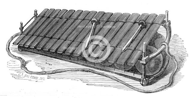 Musical Instruments in the South Kensington Museum: West African Marimba, or Balafo, 1870. Creator: Unknown.