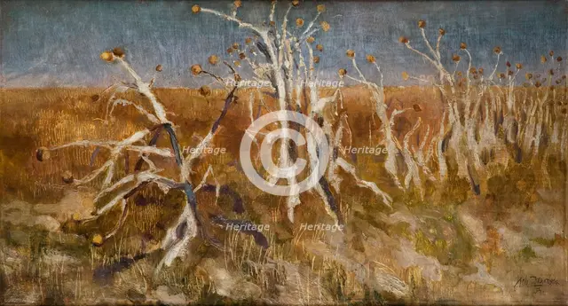 Musk Thistles, 1904. Creator: Kazimierz Sichulski.