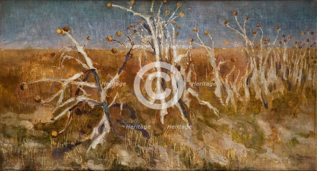 Musk Thistles, 1904. Creator: Kazimierz Sichulski.