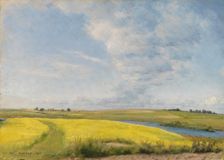 Mustard field, 1895. Creator: Julius Paulsen