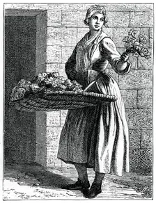 My Beautiful Pinks!, 1737-1742.Artist: Bouchardon