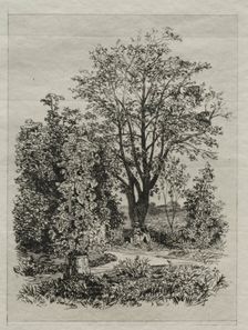 My Garden. Creator: Maxime Lalanne (French, 1827-1886)