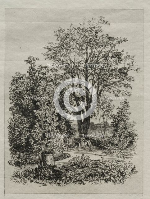 My Garden. Creator: Maxime Lalanne (French, 1827-1886).