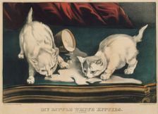 My Little White Kitties - Into Mischief, 1871., 1871. Creators: Nathaniel Currier, James Merritt Ives, Currier and Ives