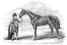 My Mary, winner of the Yorkshire Handicap, at Doncaster, 1845. Creator: Unknown