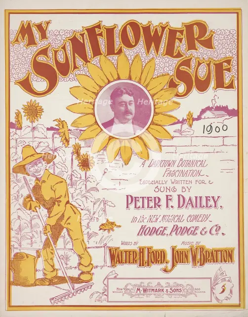 'My sunflower Sue', 1900.  Creator: Unknown.