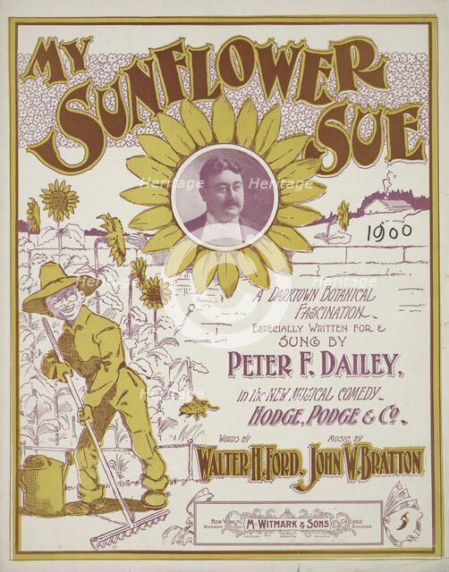'My sunflower Sue', 1900.  Creator: Unknown.