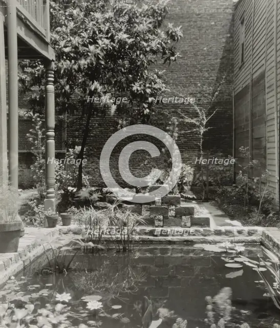 My patio court, March 21 to May, 1946. Creator: Frances Benjamin Johnston.