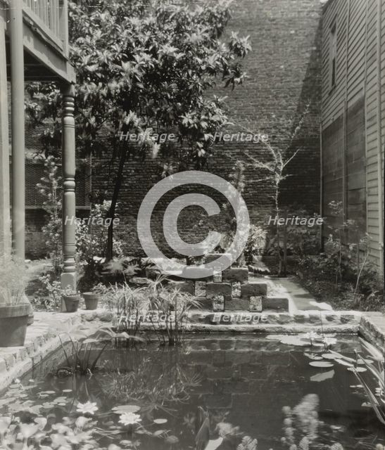 My patio court, March 21 to May, 1946. Creator: Frances Benjamin Johnston.