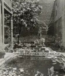 My patio court, March 21 to May, 1946. Creator: Frances Benjamin Johnston