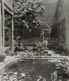 My patio court, March 21 to May, 1946. Creator: Frances Benjamin Johnston