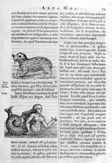 Mythical creatures, 1675. Artist: Athanasius Kircher