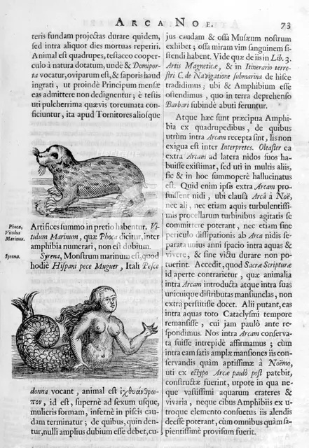 Mythical creatures, 1675.  Artist: Athanasius Kircher
