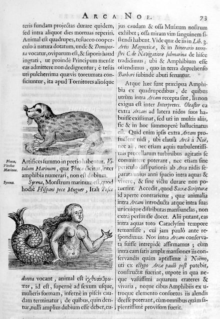 Mythical creatures, 1675.  Artist: Athanasius Kircher