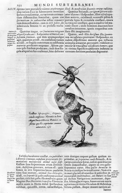 Mythical creatures, 1678.  Artist: Athanasius Kircher