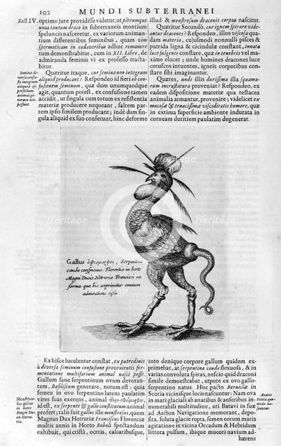 Mythical creatures, 1678.  Artist: Athanasius Kircher