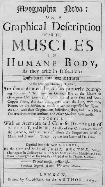 'Myographia Nova: or a Graphical Description of all the Muscles in Humane Body, As they are in Disse Artist: Unknown.