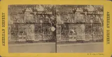N.Y. City and vicinity. [Posters advertising theaters, businesses on unidentified wall], 1866?. Creator: Unknown
