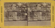 N.Y. City and vicinity. [Posters advertising theaters, businesses on unidentified wall], 1866?. Creator: Unknown