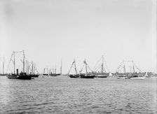 N.Y.Y.C. fleet, Vineyard Haven, August 7, 92, 1892 Aug 7. Creator: Unknown
