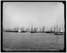 N.Y.Y.C. fleet, Newport harbor, 1887 Aug 5. Creator: Unknown
