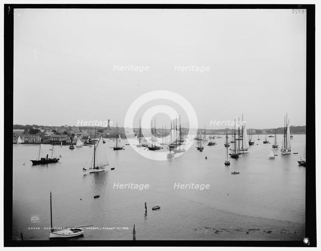 N.Y.Y.C. fleet, Newport harbor, 1888 Aug 10. Creator: Unknown.