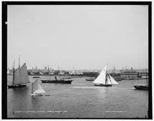 N.Y.Y.C. fleet, Newport harbor, 1888 Aug 11. Creator: Unknown