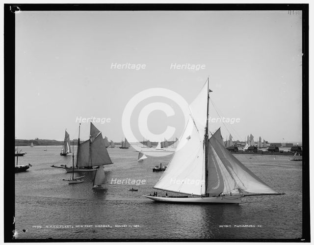 N.Y.Y.C. fleet, Newport harbor, 1888 Aug 11. Creator: Unknown.