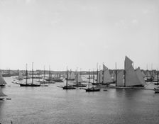 N.Y.Y.C. Fleet, Newport Harbor, August 11, 1888, 1888 Aug 11. Creator: Unknown