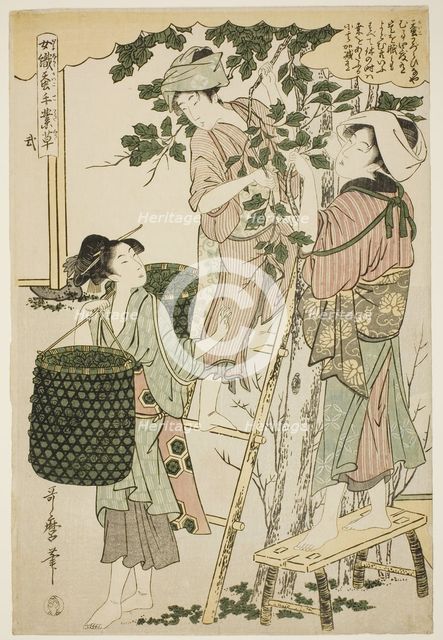 No. 2 (ni), from the series "Women Engaged in the Sericulture Industry (Joshoku kaiko...c.1798/1800. Creator: Kitagawa Utamaro.