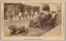 No. 2009, Taking a Rest 1890-1895. Creator: Thomas H. Lindsey