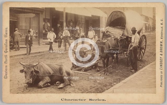 No. 2009, 'Taking a Rest', 1890-1895. Creator: Thomas H. Lindsey.