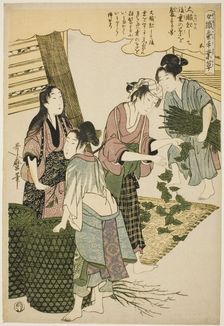 No. 5 (go), from the series "Women Engaged in the Sericulture Industry (Joshoku kaiko...c.1798/1800. Creator: Kitagawa Utamaro