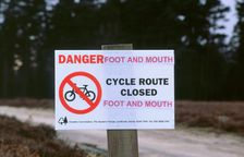 No cycling-Foot and Mouth closure 2001. New Forest